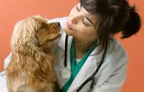 A Picture of Elizabeth