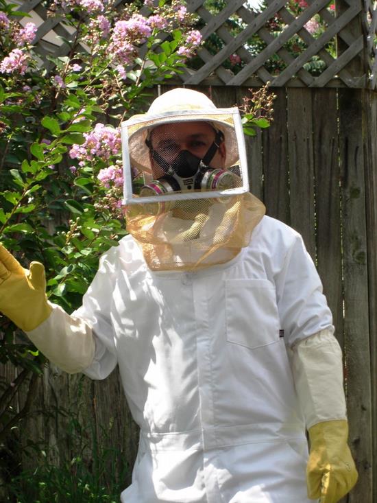 bee-suit